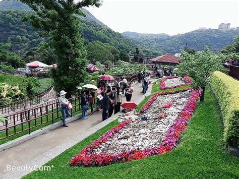 陽明山花葬區|花葬介紹:多元環保葬